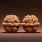 The "Ancient Toad" Miniature Masterpiece | Hand-Twister Pocket Tier