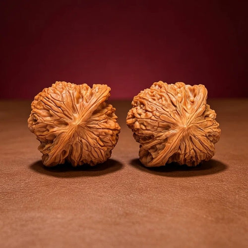 The "Grindstone Disc" Zheng Mo Pan S-Grade Pair | Premium Collector Selection | 40.0mm (Width) x 38.0mm (Length) | MP-S-005331