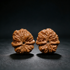 Timber Classics — Toad Head | 40.0mm × 33.0mm