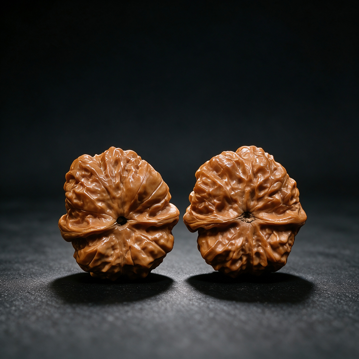 Timber Classics — Toad Head | 40.0mm × 33.0mm