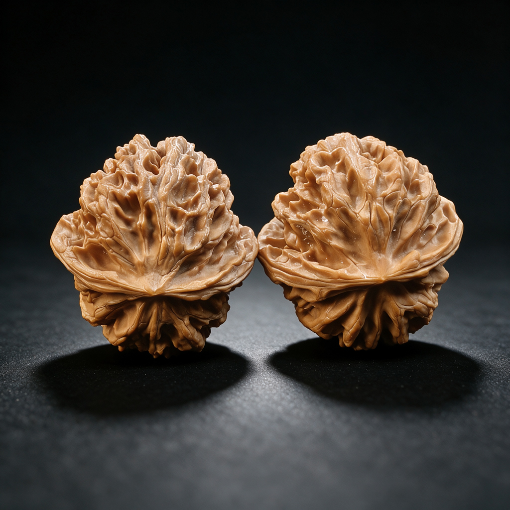Timber Classics — White Lion | 39.0mm × 39.0mm