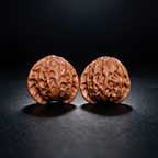 Woodland Keepsakes — Apple Garden | 35.0mm × 33.0mm