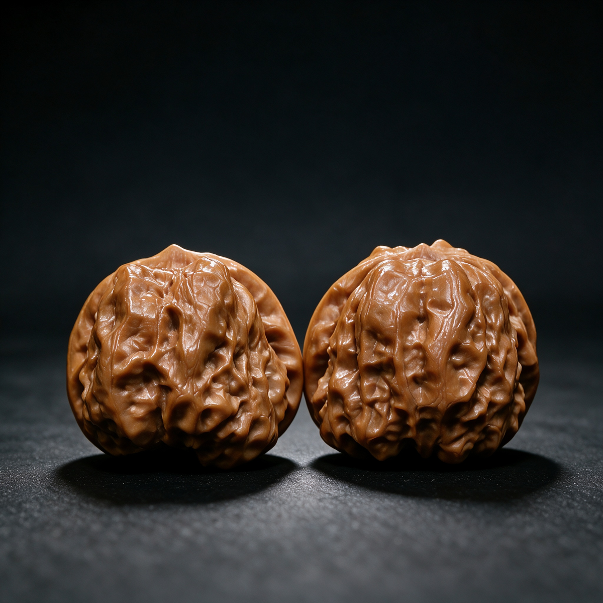 Timber Classics — Toad Head | 40.0mm × 33.0mm