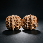 Timber Classics — White Lion | 39.0mm × 39.0mm