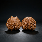 Timber Classics — Toad Head | 40.0mm × 33.0mm