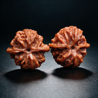 Woodland Keepsakes — Apple Garden | 35.0mm × 33.0mm