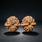 Timber Classics — White Lion | 39.0mm × 39.0mm