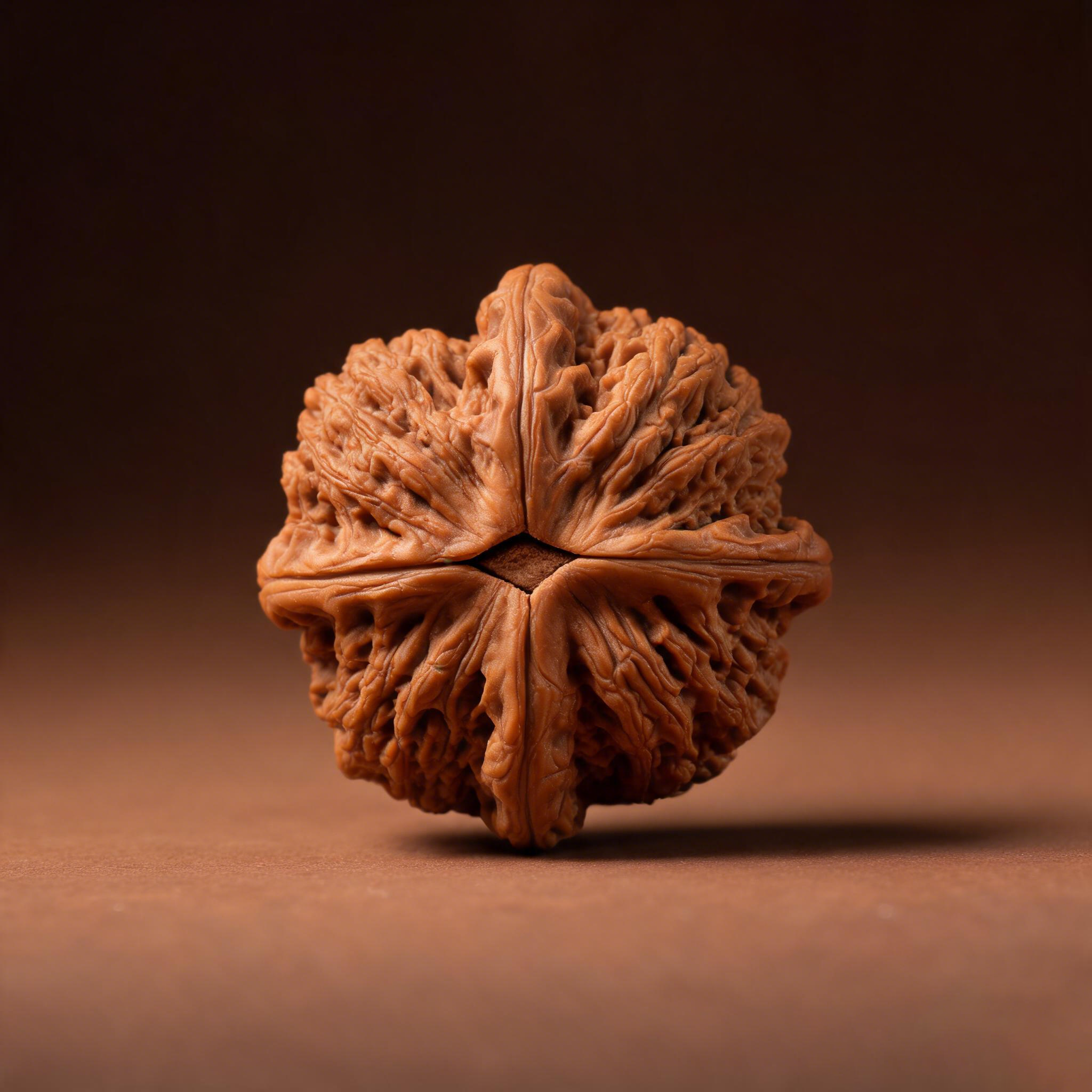 The "Ancient Toad" Miniature Masterpiece | Hand-Twister Pocket Tier